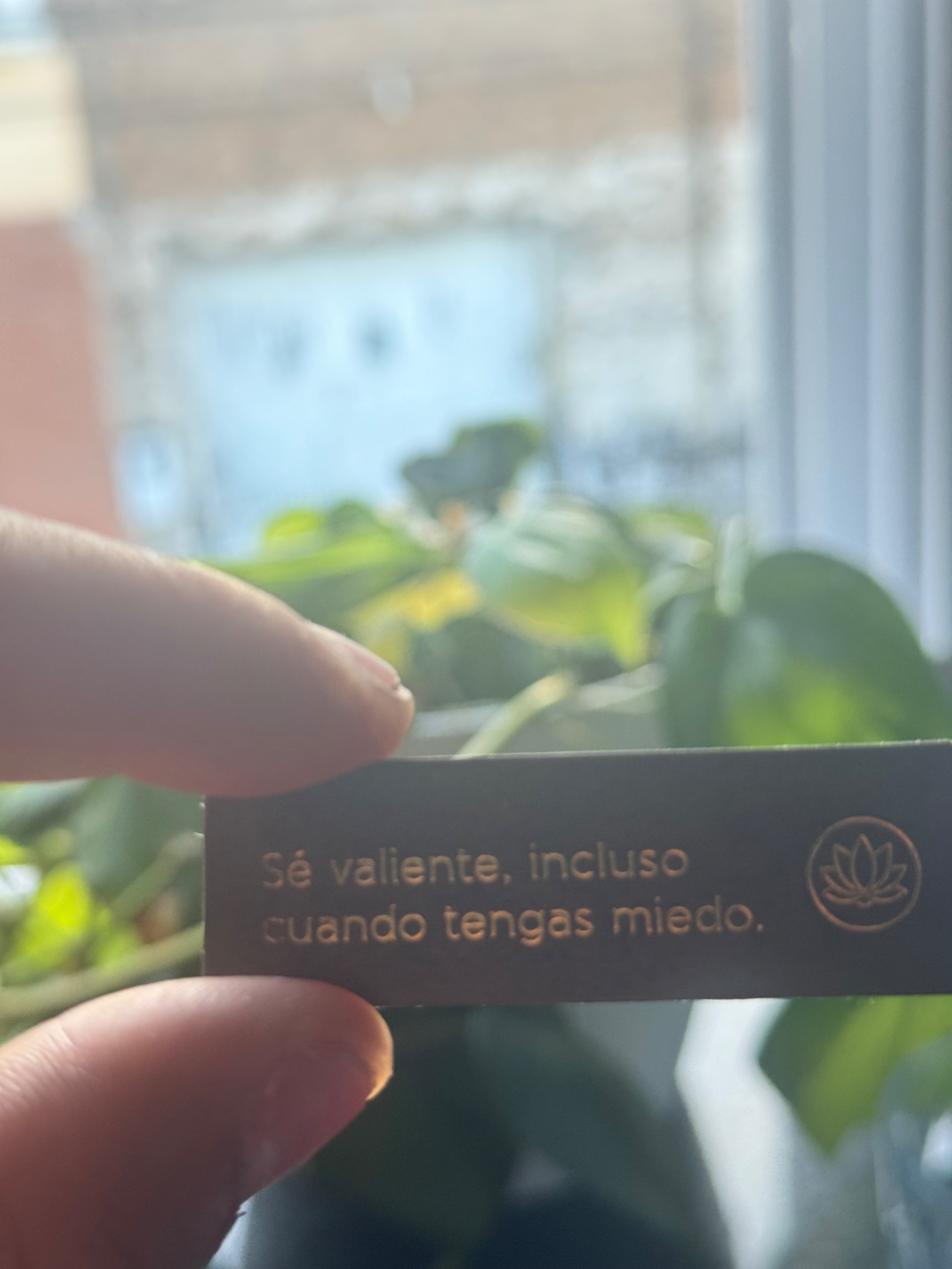 Viajamos hasta encontrar el camino del amor